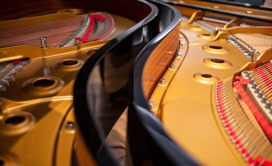 Details of the Interior of a Concert Grand Piano