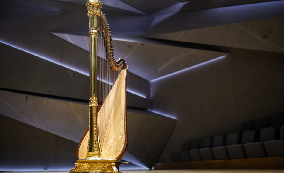 Meisterkurs für Harfe