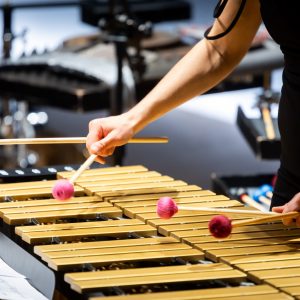 Meisterkurs für Percussion