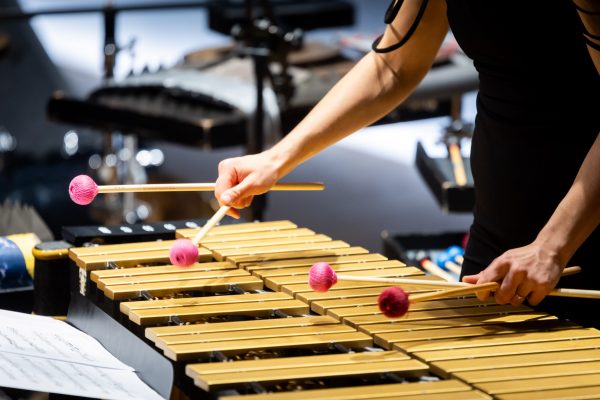 Meisterkurs für Percussion